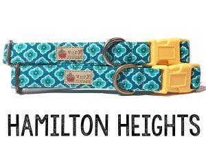 Hamilton Heights – Organic Cotton Dog Collar