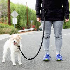 Hands Free Dog Leash Waist Belt Bungee Black Retractable Nylon Lead Run Walk
