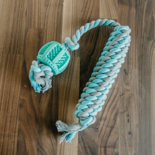 Dog Rope Toy Flossy Tossy Natural Cotton & Rubber Tug Chew Drum